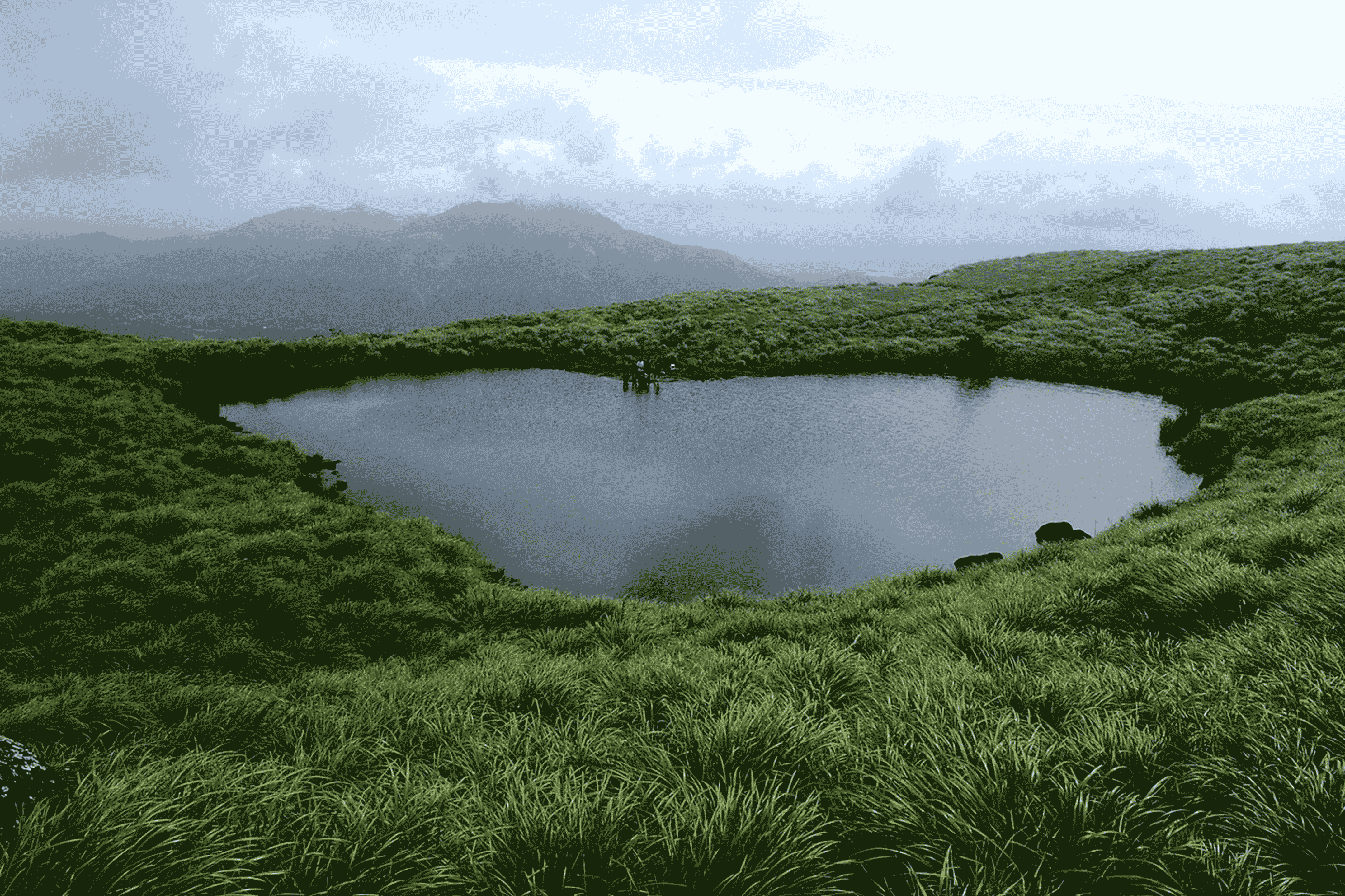 kerala couple tourism