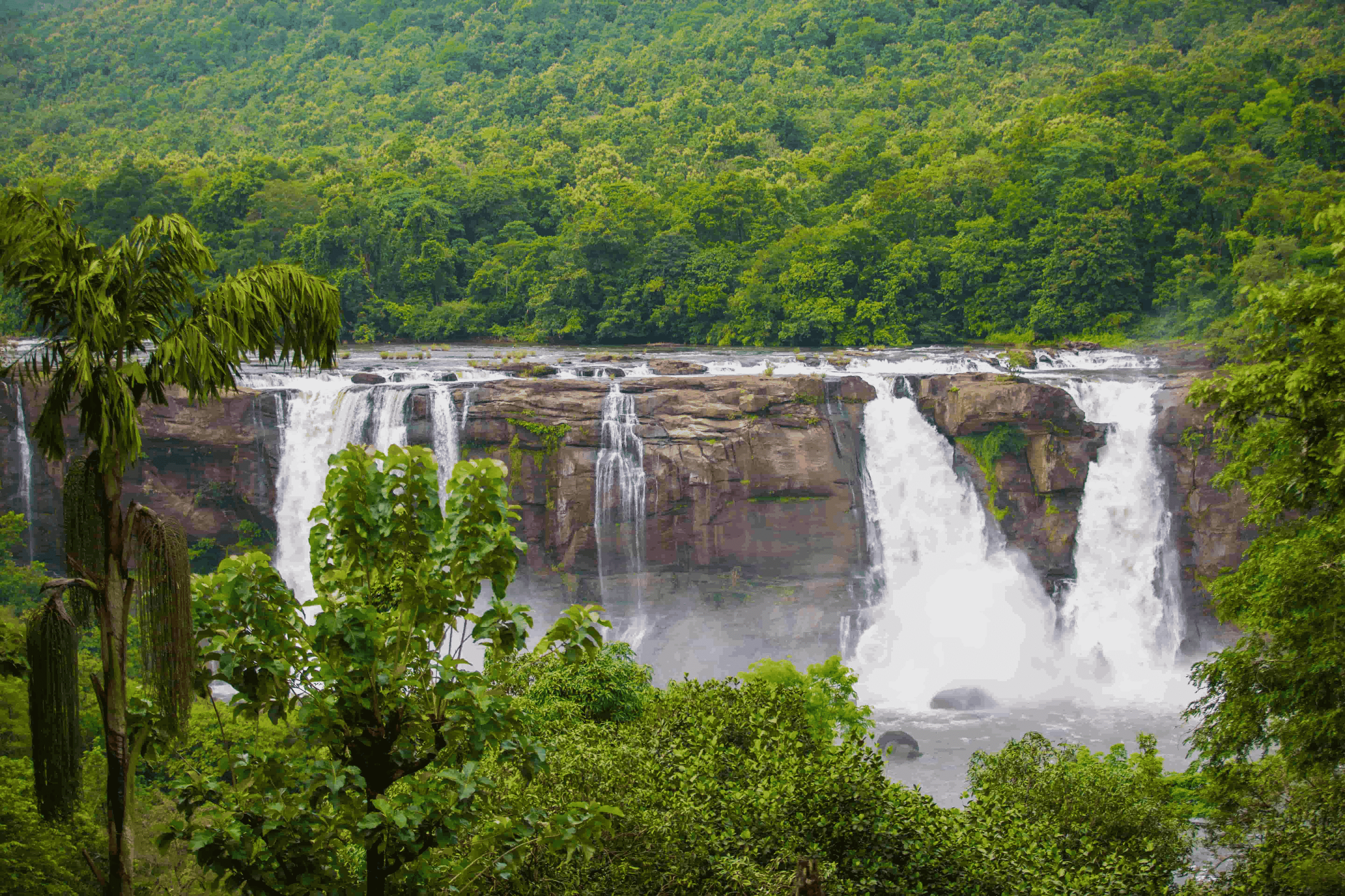 kerala couple tourism
