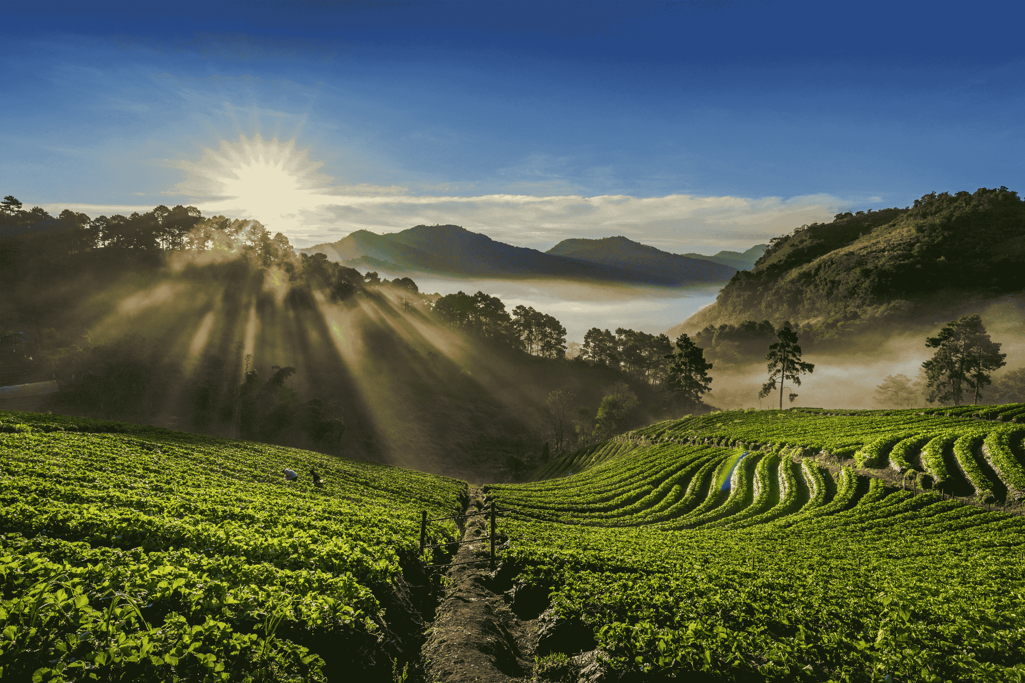 kerala couple tourism