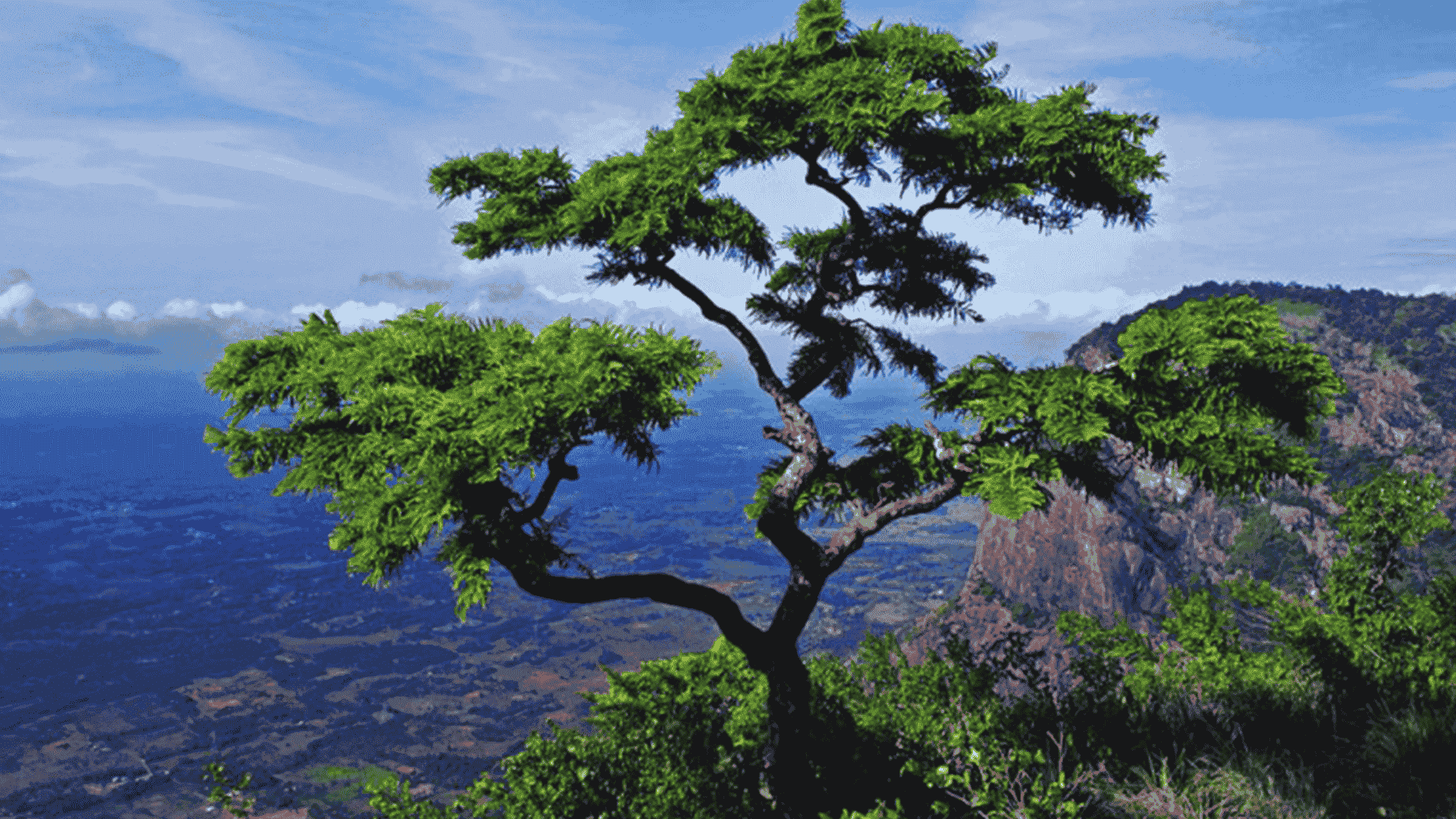 kerala_best_couple_tour_package