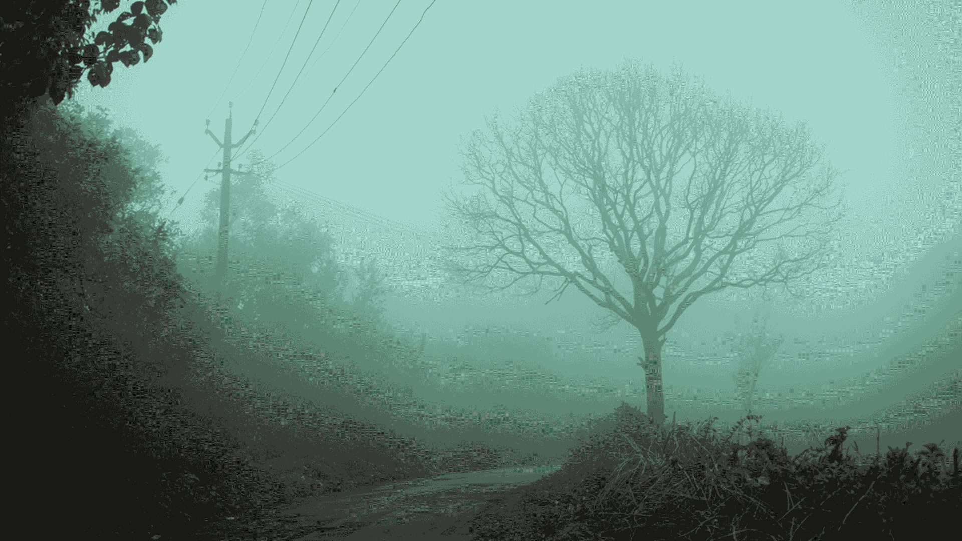 kerala_couple_tourism_packages