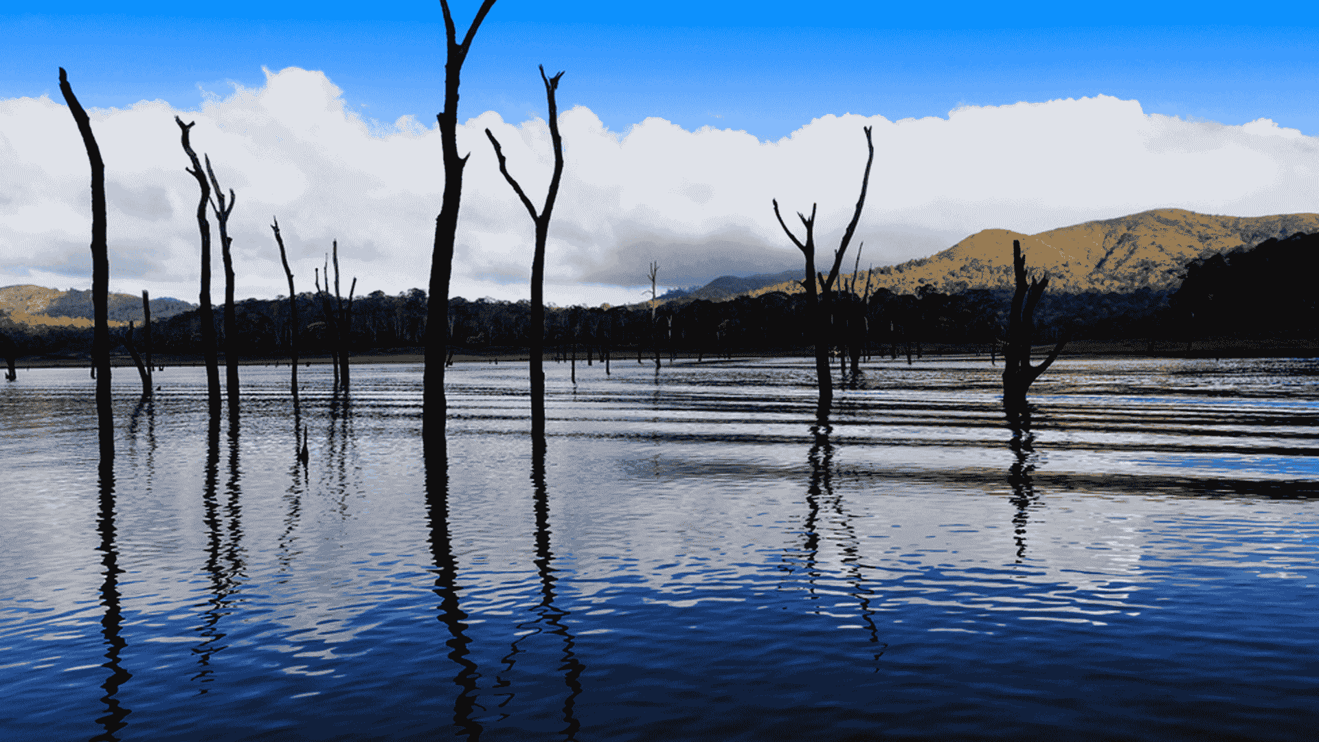 kerala_top_couple_tourism_packages