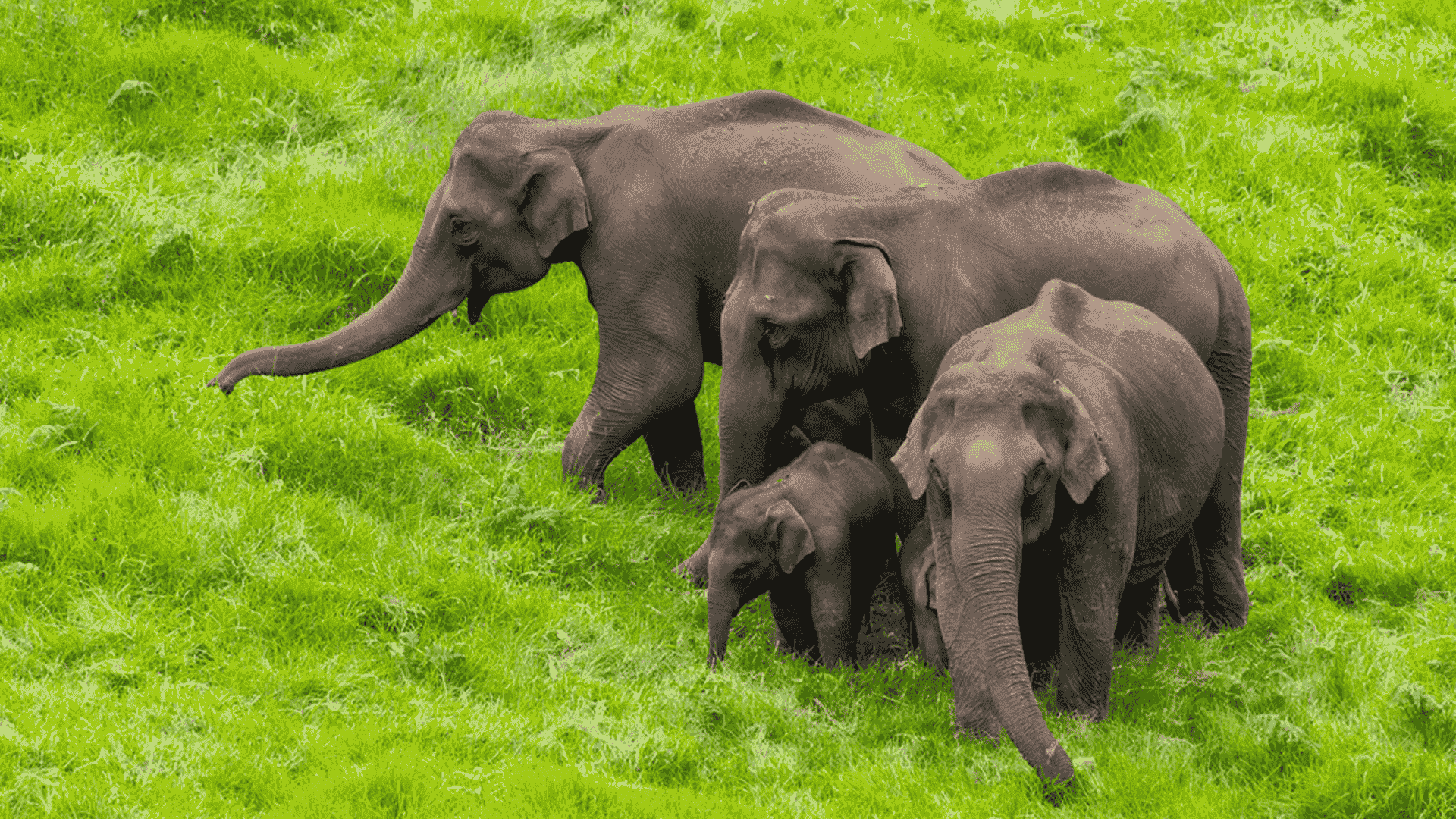 kerala_couple_tourism_packages