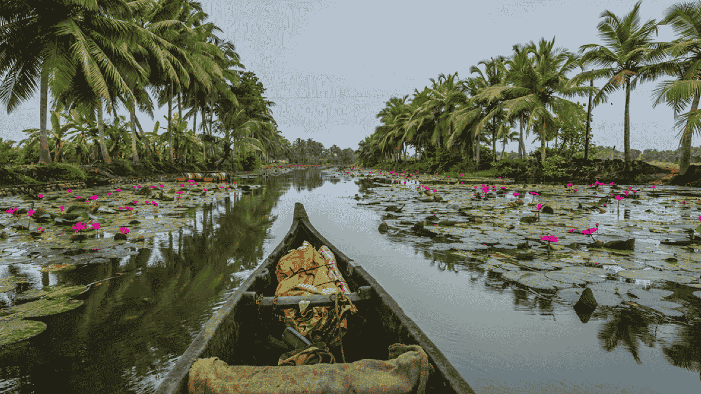 kerala couple tourism
